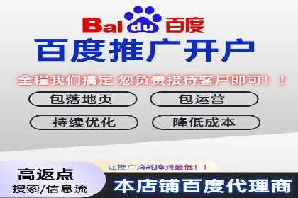 竞价排名案例：优化广告预算分配